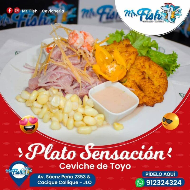 Ceviche Mr Fish